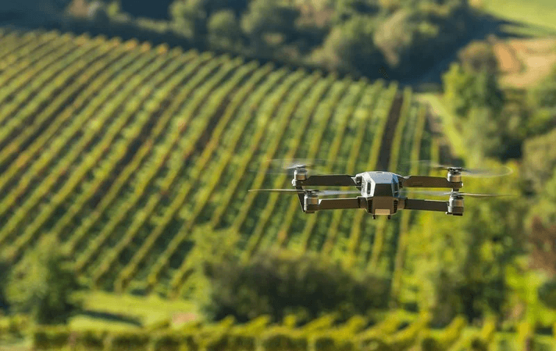 A surveying drone in flight over rows of vines on an Italian hillside vineyard.