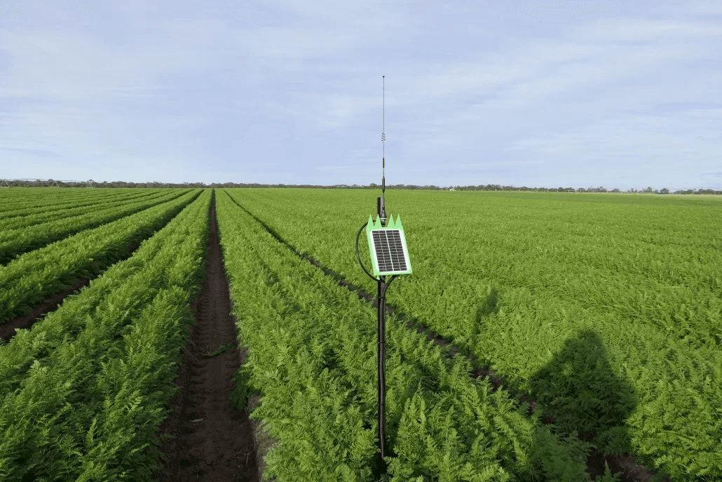 A solar-powered IoT sensor station with antenna and data unit, installed in an open agricultural field.