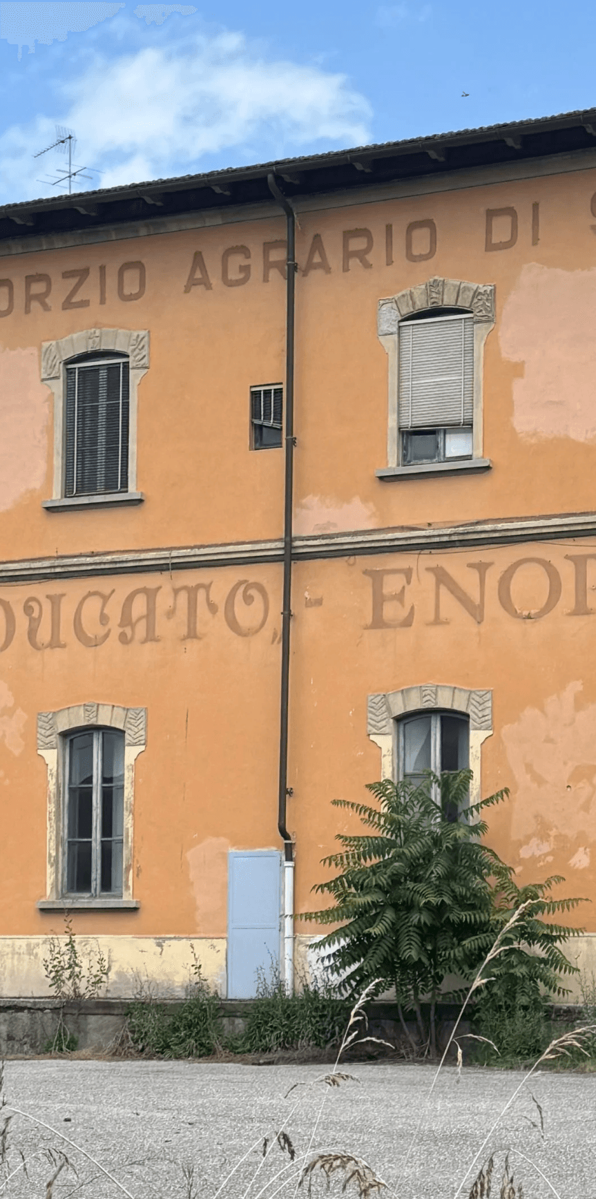 The old Chianti bottling plant in Poggibonsi, the building behind Nick's family connection to the wine industry.